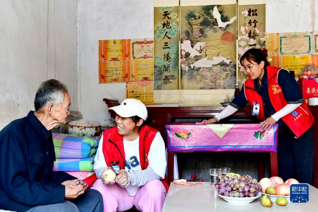 菠菜导航总站